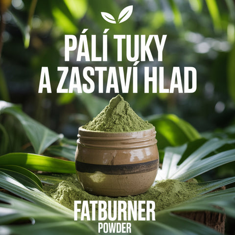 1+1 ZDARMA: Supersilný spaľovač tuku FATBURNER Powder s chitosanom proti hladu