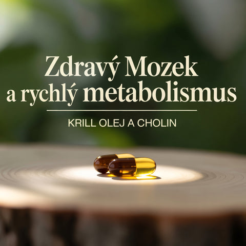 1 ZADARMO: Krillový olej a cholín pre zdravý mozog, srdce a rýchlejší metabolizmus