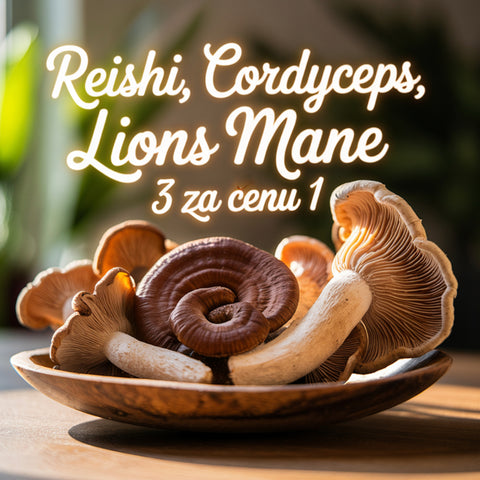 3 medicinálne huby za cenu 1: Reishi, Cordyceps, Lions mane